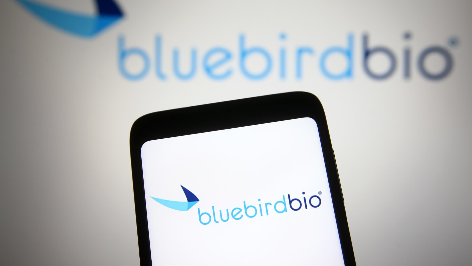 Once high-flying Bluebird Bio sells itself to private equity after tough times for the gene therapy maker